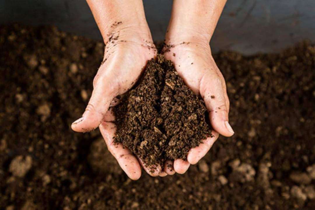 Fertilizer