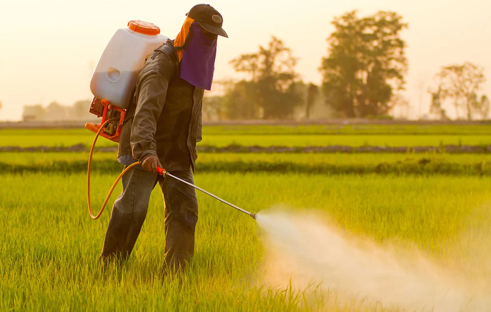 Pesticide