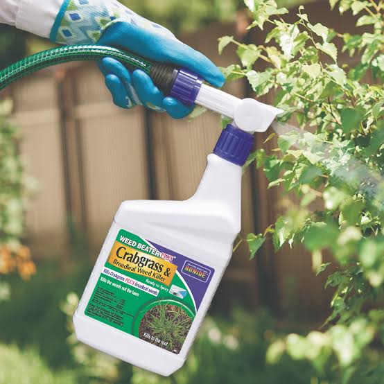 Pesticide