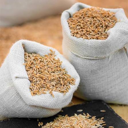Seeds